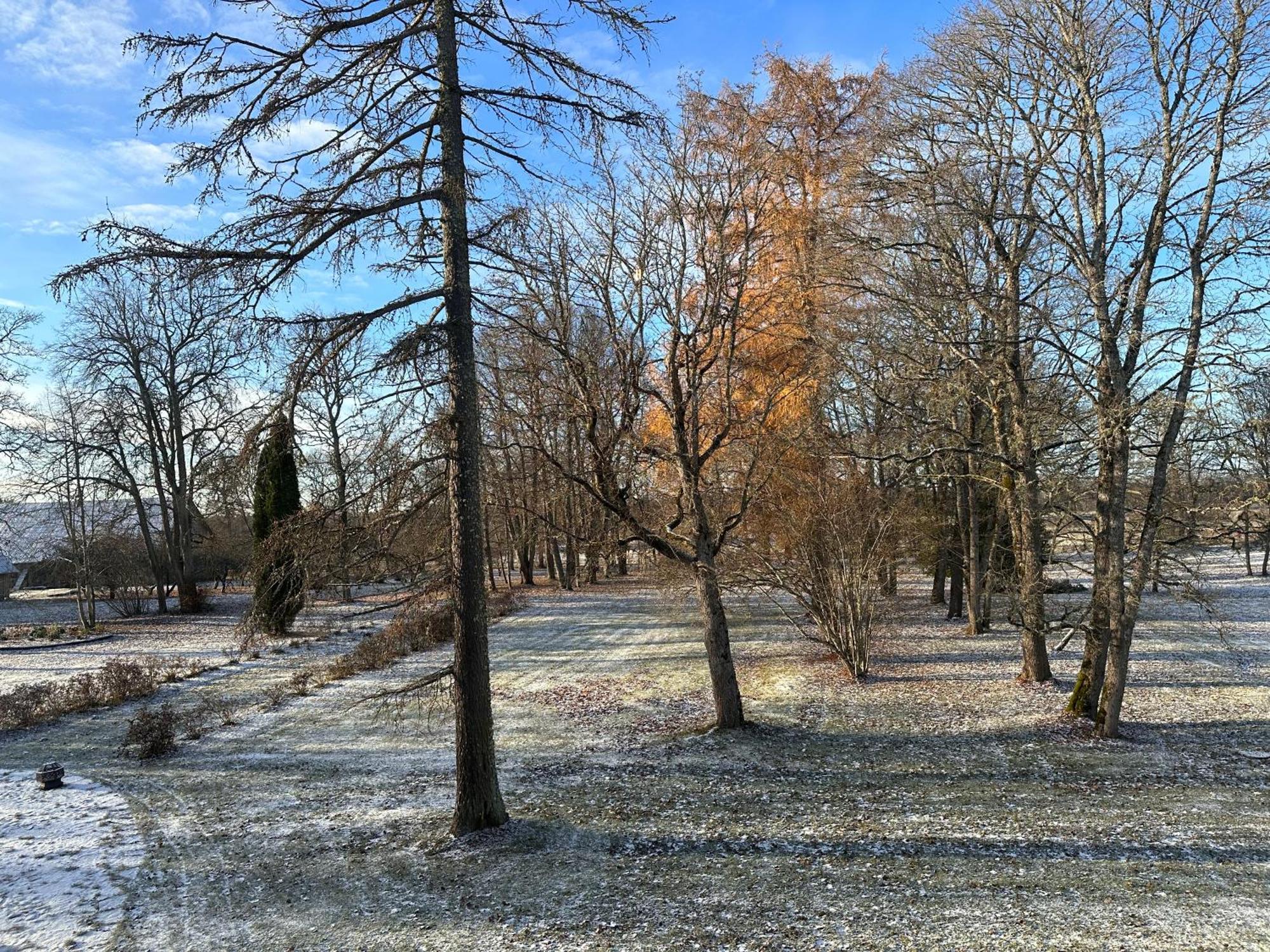 Kernu Manor Hotel & Spa Eksteriør bilde